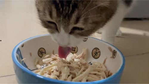 沉浸式吃网纹瓜,网纹瓜带来的味蕾盛宴体验