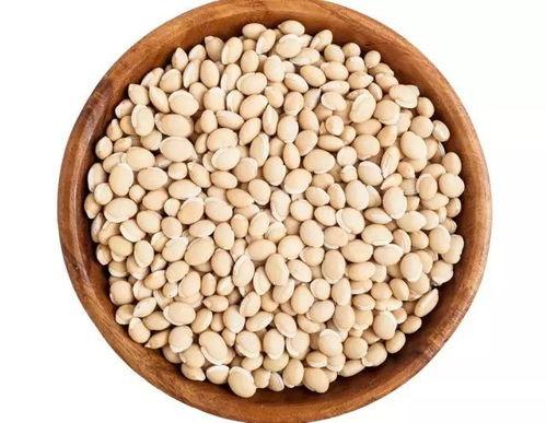 吃瓜福豆,揭秘美食背后的趣味故事