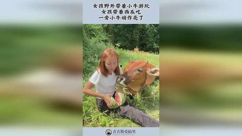 女生出游吃瓜,女生们的甜蜜瓜果时光