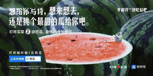 少女吃瓜文案,揭秘娱乐圈那些不为人知的幕后故事