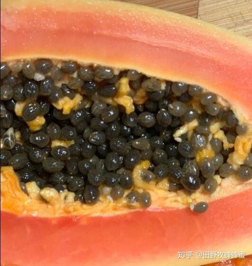 怎样治理吃瓜蜂,破解吃瓜蜂现象的智慧之道