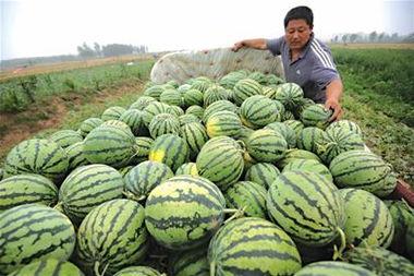 餐餐吃瓜的搞笑录音,带你领略欢乐时光