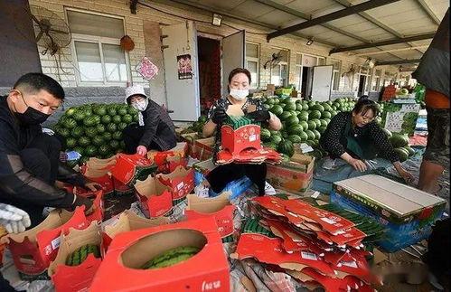 曲靖吃瓜群众图片视频,图片视频记录生活百态