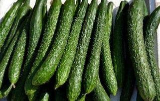 吃银瓜能减肥吗,揭秘吃银瓜的神奇瘦身效果