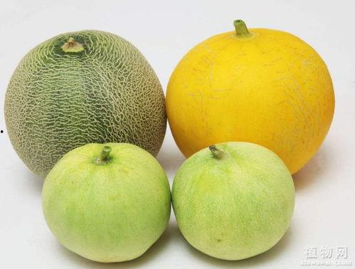 吃瓜嗓子溃烂,警惕夏日饮食健康