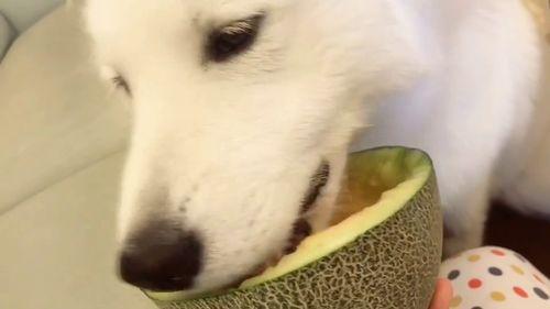 国产吃瓜在线,揭秘娱乐圈幕后故事