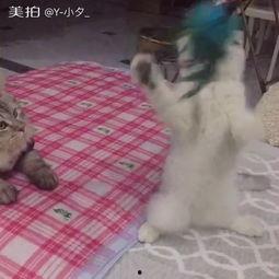 大爷吃瓜头像高清图片,揭秘大爷吃瓜头像背后的故事