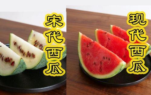 一起吃瓜南京,一起品味这座城市的独特魅力