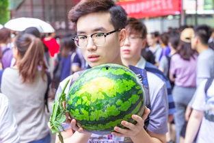 大剧场吃瓜,揭秘娱乐圈幕后风云