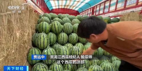 教师吃瓜事件邳州,真相与反思