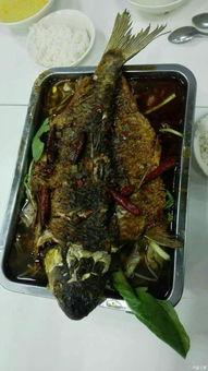 河南财经政法吃瓜,揭秘校园“吃瓜”文化背后的故事