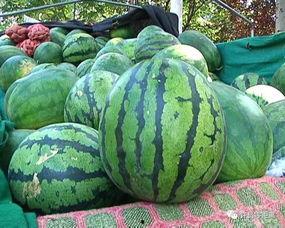 吃瓜看时间,揭秘娱乐圈幕后故事