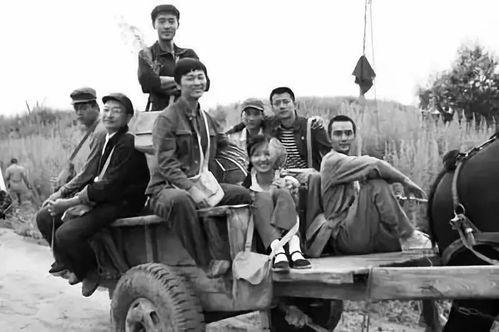 穿越吃瓜系统知青,知青时代的甜蜜苦涩回忆