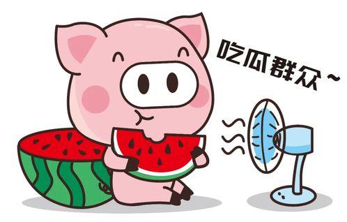 上班吃瓜吃到自己,我的职场奇遇记