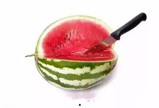 小吾吃瓜,揭秘娱乐圈那些不为人知的幕后故事