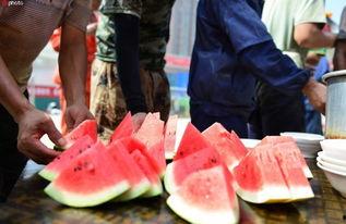 中国吃瓜华人视频,揭秘网络视频中的趣味生活现象