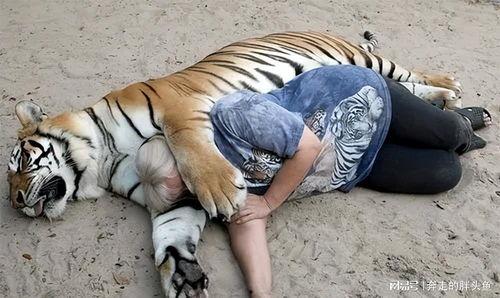 马虎虎吃瓜视频,揭秘娱乐圈幕后真相