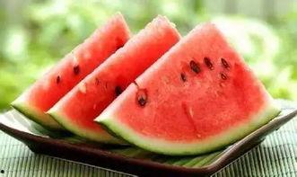 校园吃瓜日常2,揭秘校园里的那些“瓜”